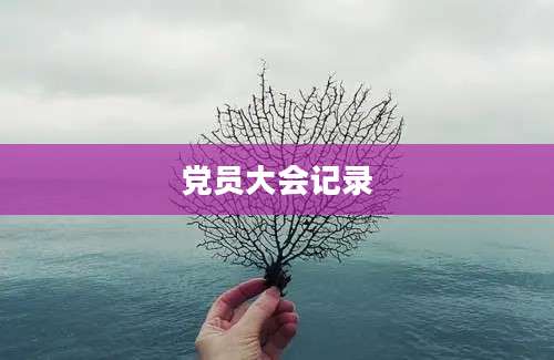 党员大会记录