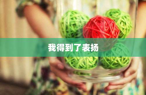 我得到了表扬