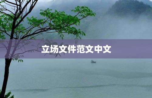 立场文件范文中文