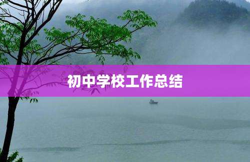 初中学校工作总结
