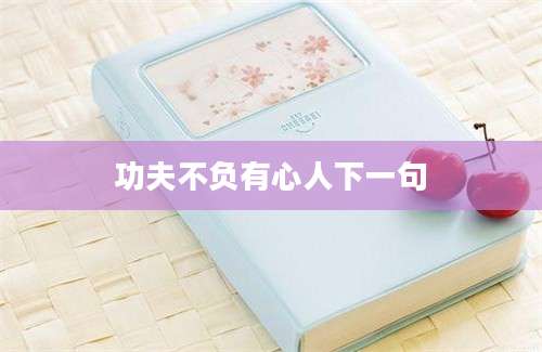 功夫不负有心人下一句