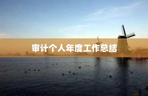 审计个人年度工作总结