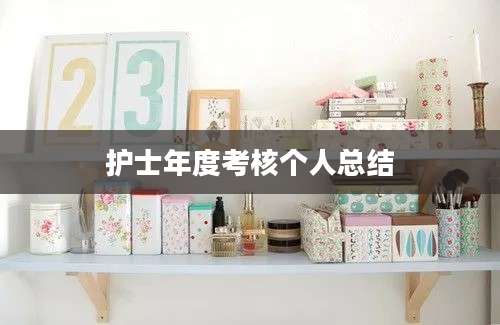护士年度考核个人总结