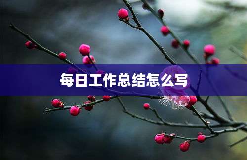 每日工作总结怎么写