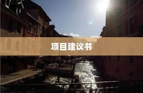 项目建议书