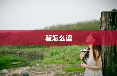 簸怎么读