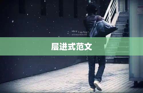 层进式范文