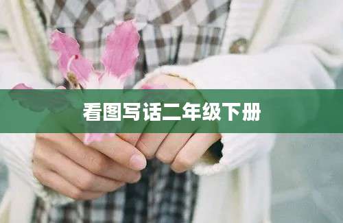 看图写话二年级下册
