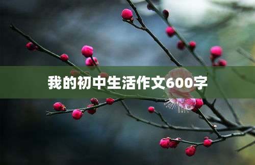 我的初中生活作文600字