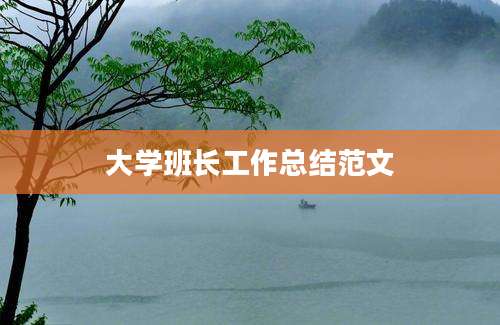 大学班长工作总结范文