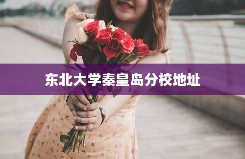 东北大学秦皇岛分校地址