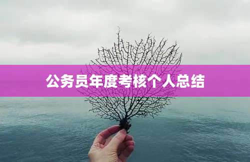 公务员年度考核个人总结
