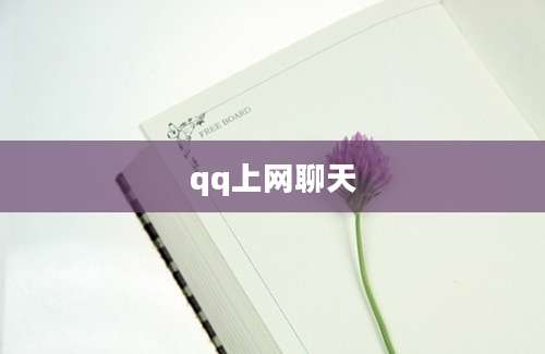 qq上网聊天