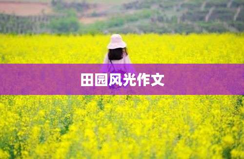田园风光作文