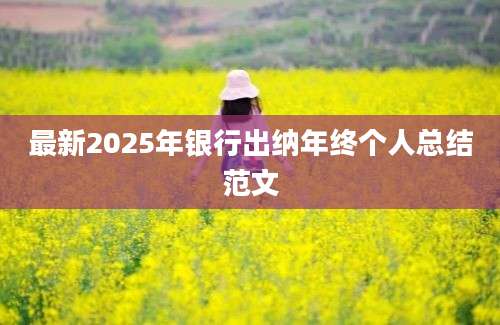 最新2025年银行出纳年终个人总结范文