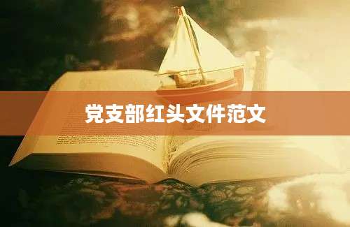 党支部红头文件范文