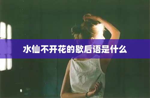 水仙不开花的歇后语是什么