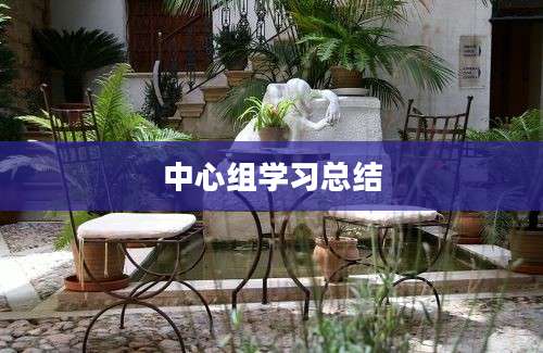 中心组学习总结