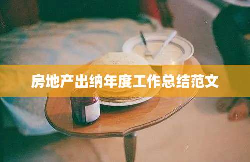 房地产出纳年度工作总结范文