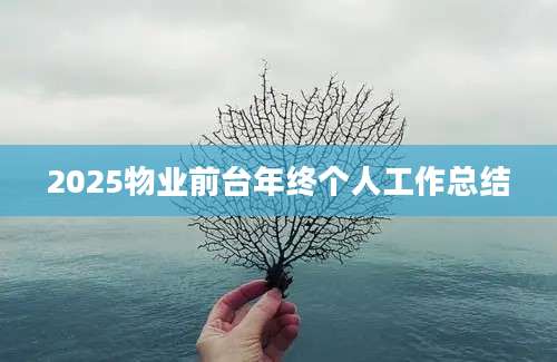 2025物业前台年终个人工作总结
