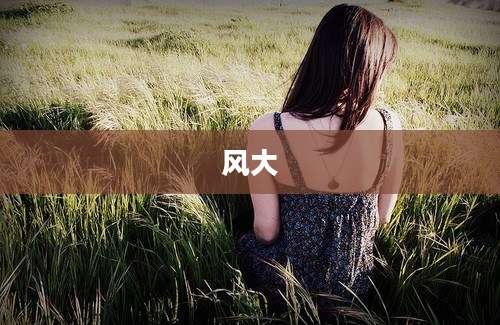 风大
