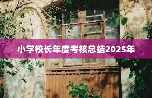 小学校长年度考核总结2025年