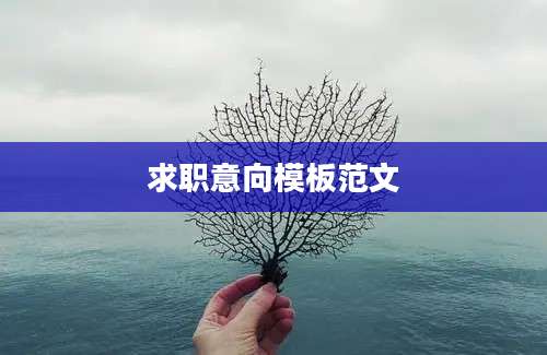 求职意向模板范文