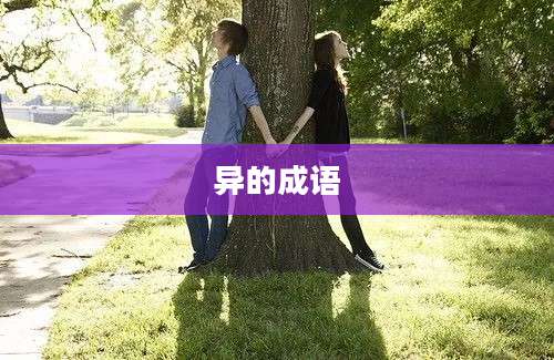异的成语