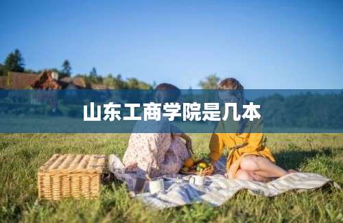 山东工商学院是几本