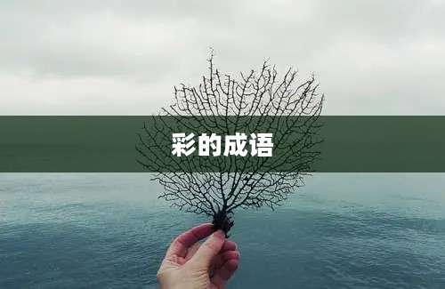 彩的成语