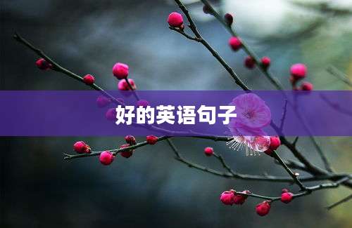 好的英语句子