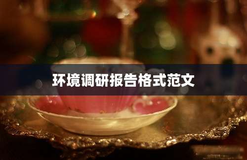环境调研报告格式范文