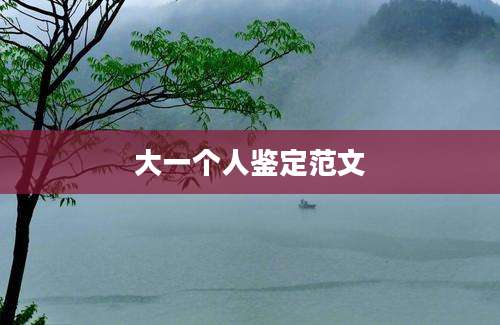 大一个人鉴定范文