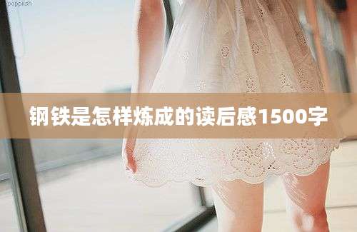钢铁是怎样炼成的读后感1500字