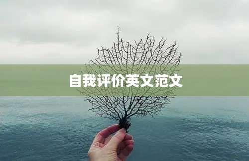 自我评价英文范文