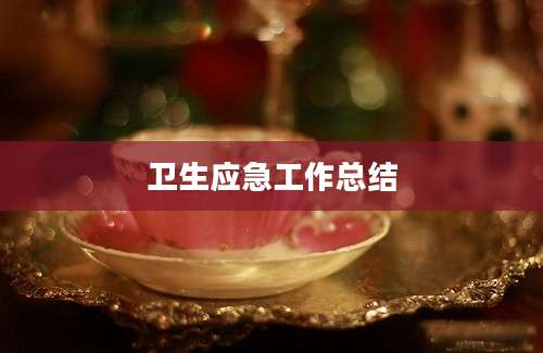 卫生应急工作总结