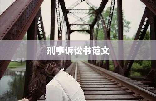 刑事诉讼书范文