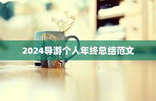 2024导游个人年终总结范文