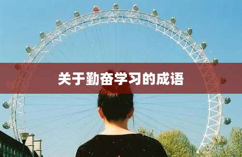 关于勤奋学习的成语