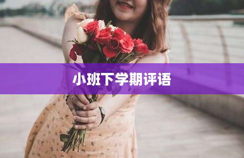 小班下学期评语