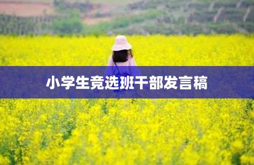 小学生竞选班干部发言稿