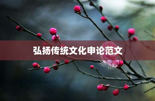 弘扬传统文化申论范文