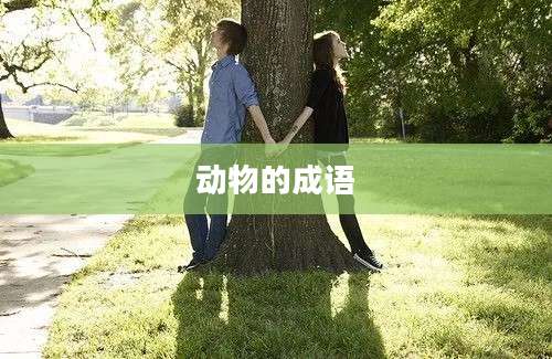 动物的成语