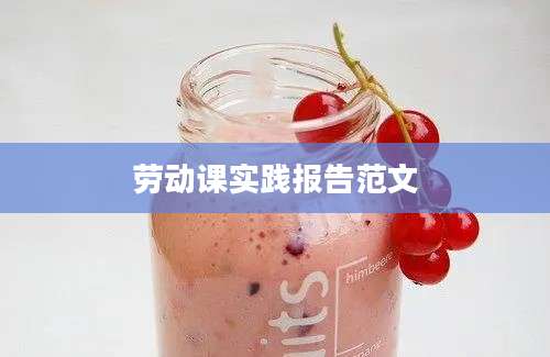 劳动课实践报告范文