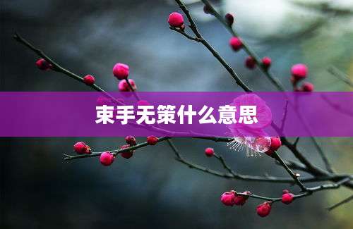 束手无策什么意思
