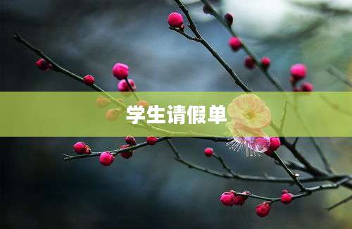 学生请假单