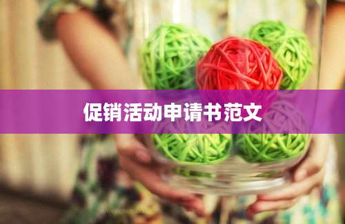 促销活动申请书范文