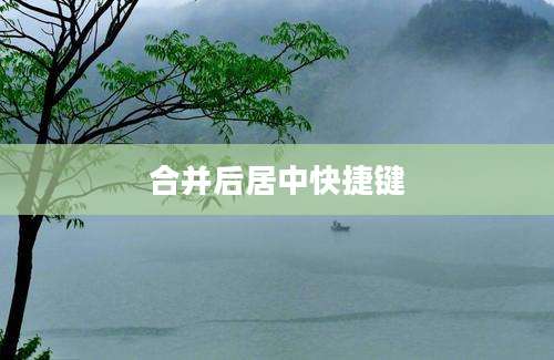 合并后居中快捷键