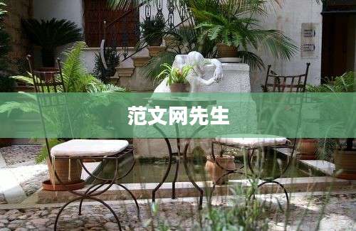 范文网先生