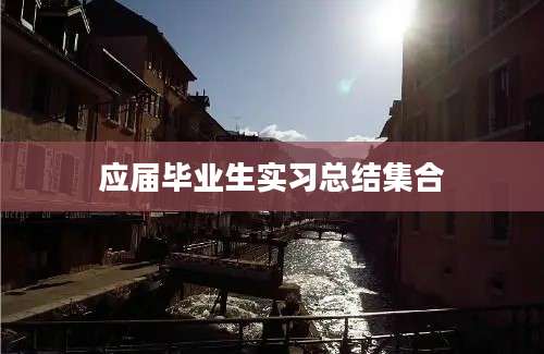 应届毕业生实习总结集合